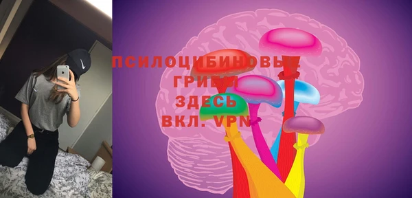 дживик Белокуриха