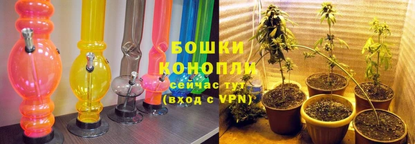 дживик Белокуриха