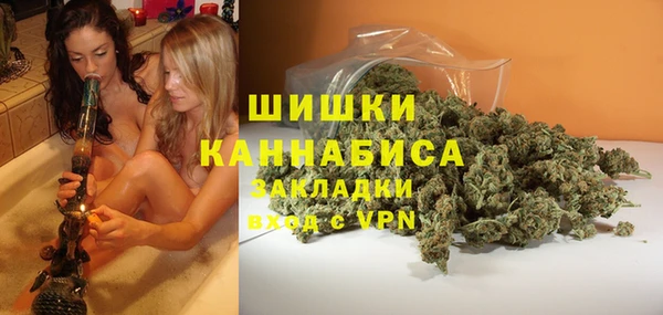 дживик Белокуриха