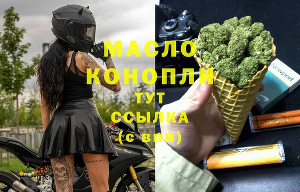 дживик Белокуриха