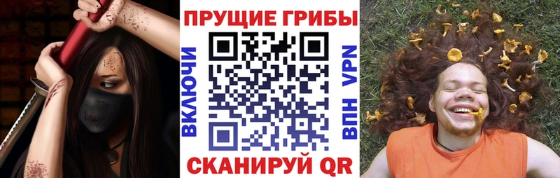 Псилоцибиновые грибы прущие грибы Невьянск