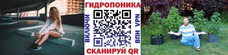 Бошки Шишки планчик  купить   Невьянск 